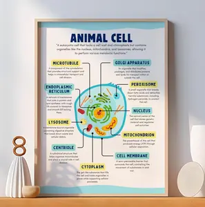 Animal Cell Structure Poster - Biology Educational Print - Science Classroom Wall Art - Homeschool Decor - High School