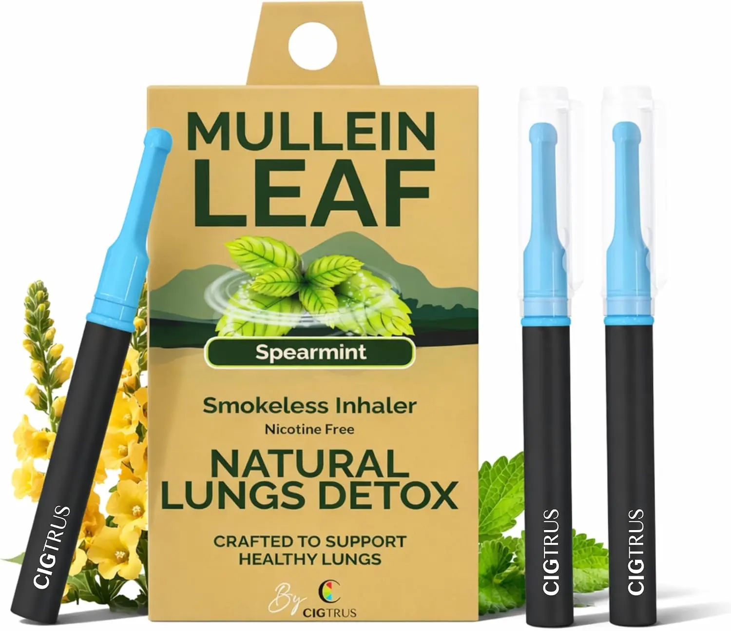 Cigtrus Mullein - Smokeless Inhaler, Quit Smoking Aid, Spearmint - 3 Pack Cigtrus Mullein - Smokeless Inhaler, Quit Smoking Aid, Spearmint - 3 Pack
