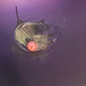 Salmon/Steelhead Soft Bead Set Up - Fish-related Product as Described