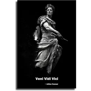 KIVIOV Wall Art Julius Caesar Veni Vidi Vici Poster Poster Wall Art for Living Room Canvas Printins Modern Art bedroom wall art (12x18inch-No Framed)