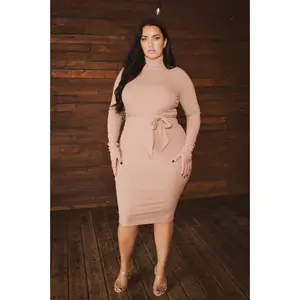 Plus Size Timeless Turtleneck Dress - Mocha