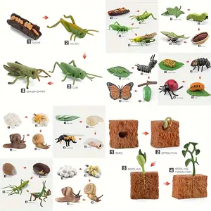 Realistic Insect Model Toy Set, Bee Butterfly Grasshopper Life Cycle Models, Educational Science Toys for Kids, Perfect Gift Idea