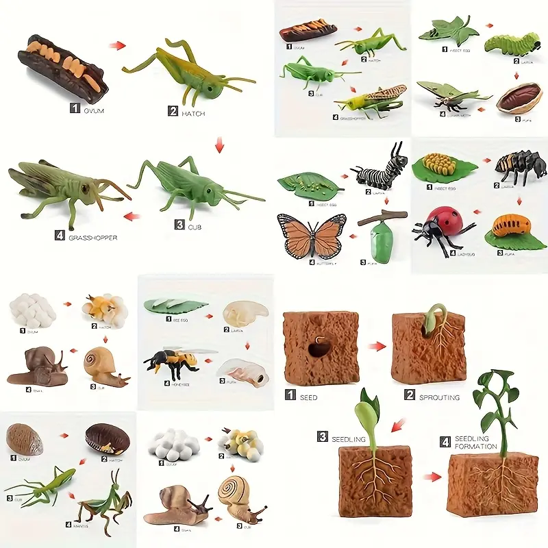 Realistic Artificial Insect Model Toy Set, Bee Butterfly Grasshopper Life Cycle Models, Educational Science Toys for Kids, Visual Learning Tools, Perfect Gift Idea