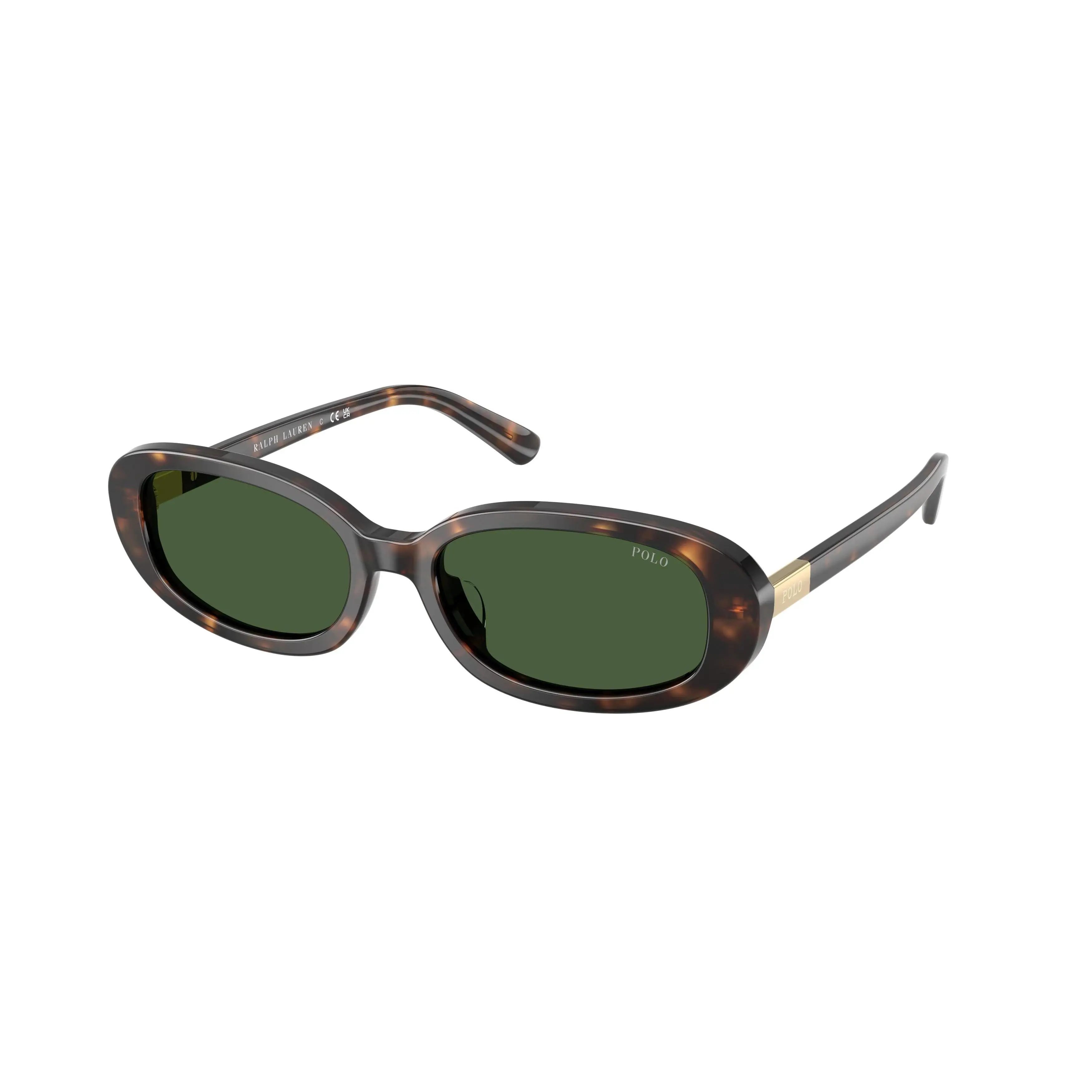 Polo 4198U Sunglasses