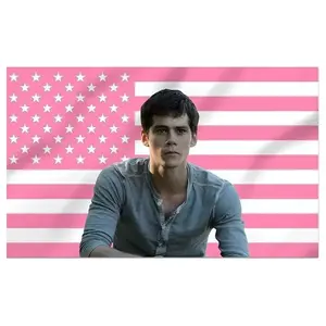 Dylan O'Brien 3x5 Foot Decorative Flag Tapestry Poster with 4 Brass Grommets for Outdoor Indoor, Double Stitched Wall Hanging Room Art Decor, College Dorm Porch Decorations Print