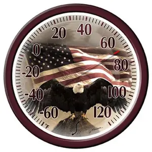 Taylor Precision Products  13.25 in. Bald Eagle with American Flag Dial Thermometer