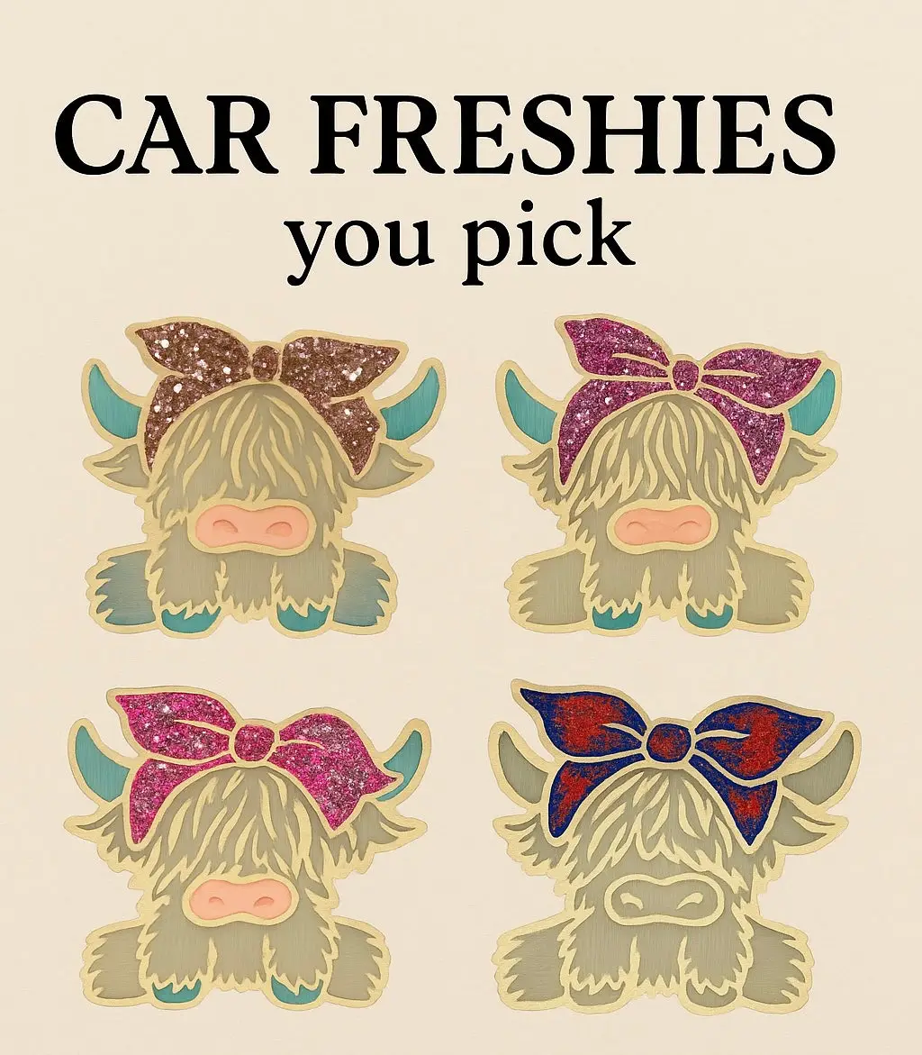 Car Freshie- You Pick
