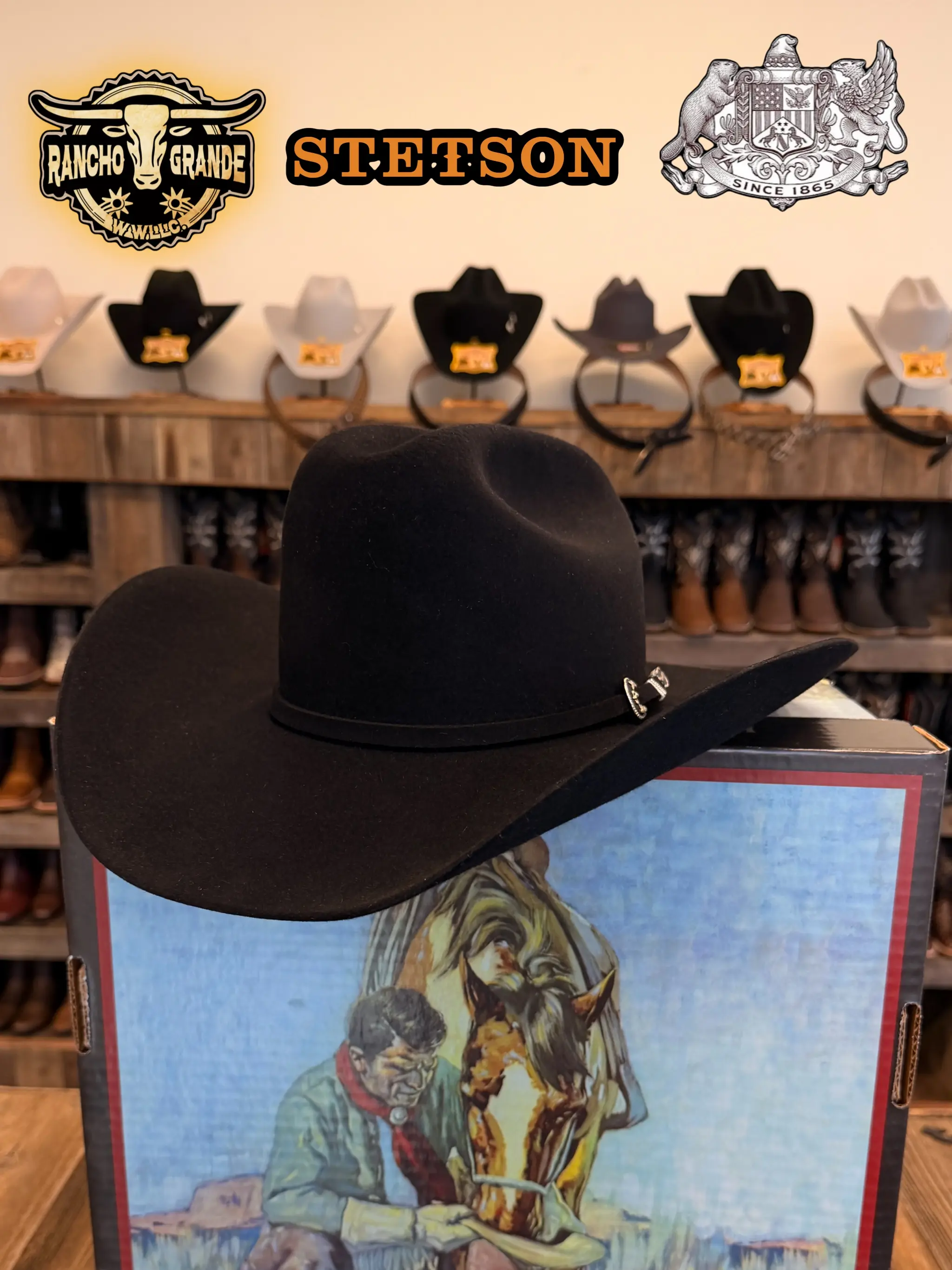 ORIGINAL 6X STETSON HAT SKYLINE / TEJANA 6X STETSON