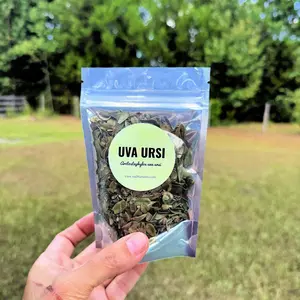 Dried Uva Ursi Herb - Cut and Sifted, Herbal Tea and Apothecary