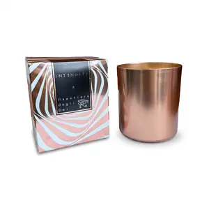 Spearmint & Pine Scented Fragrance Candle, 290g Woody Herbal Scent, 45hr Clean Burn Unisex Aroma Freshener with Wick, Aluminum Travel Cup for Camping & Home, Room Decor for Home Office Indoor Use