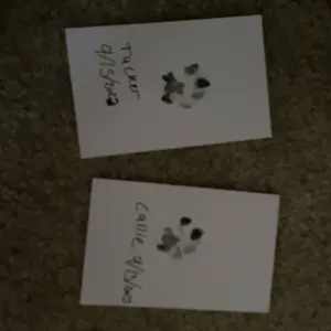 Paw Print Stamp, 1/4/8 Counts Footprint Stamp Pad with 1 Ink Pad & 2 Imprint Cards, Hand and Foot Print Stamp for Baby Shower