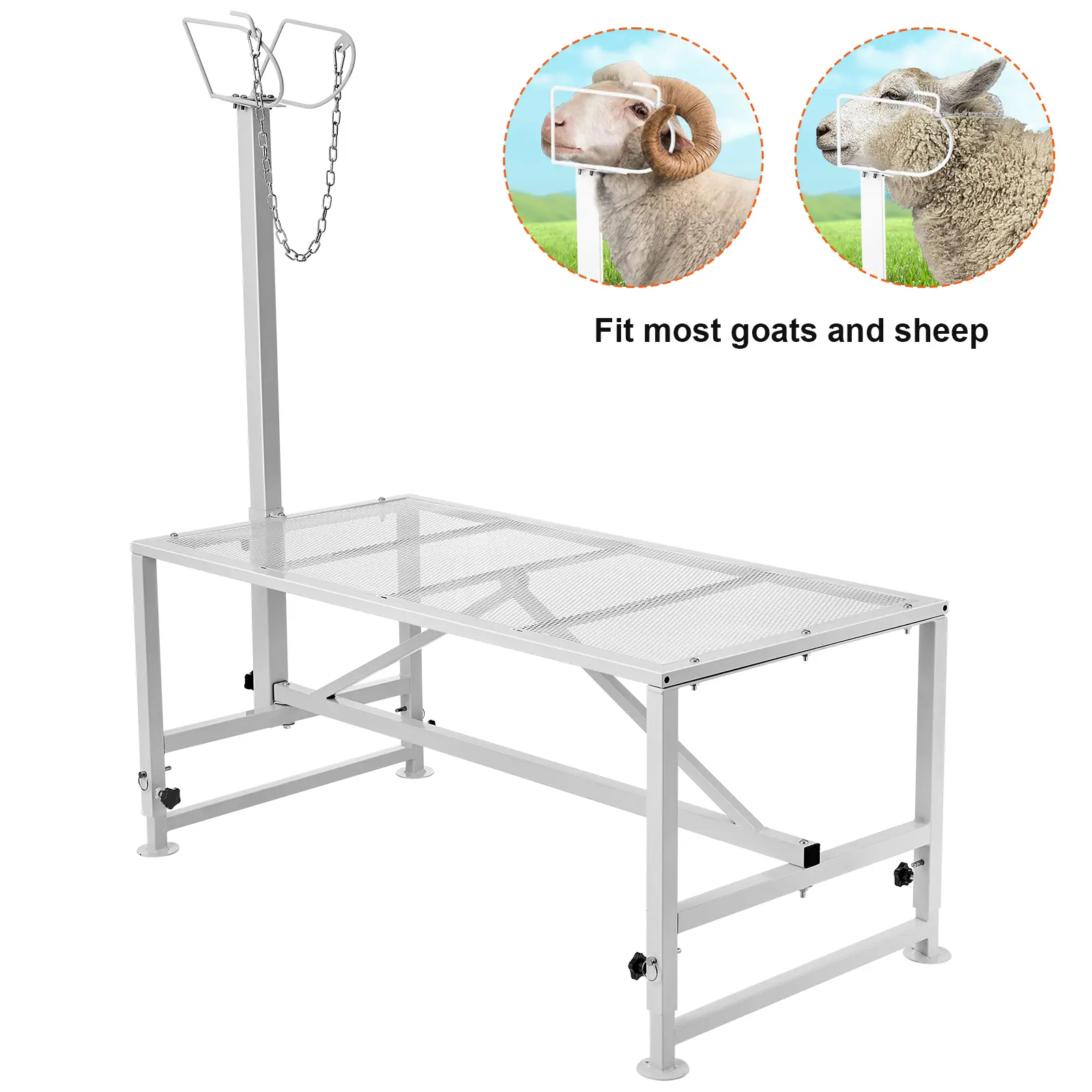 Goat & Sheep Stand, 47x23 inch Livestock Stand, Metal Livestock Milking and Shearing Stand 21" to 33" Adjustable Height, with Headpiece and Nose Loop, 500lbs Loading Weight, White