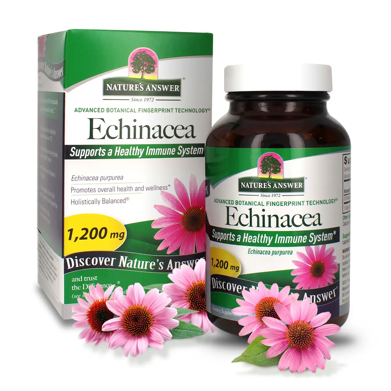 Nature's Answer Echinacea Purpurea Herb Vegetarian Vegan 900 mg 90 Capsules | Immune Support | Digestion Support | Vegan | Single Count