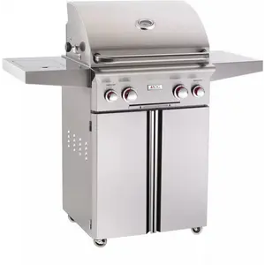 American Outdoor Grill 24 Inch Portable Stainless Steel Propane Grill