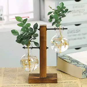 Creative Glass Desktop Planter Bulb Vase Wooden Stand Hydroponic Plant Container Home Tabletop Decor Vase