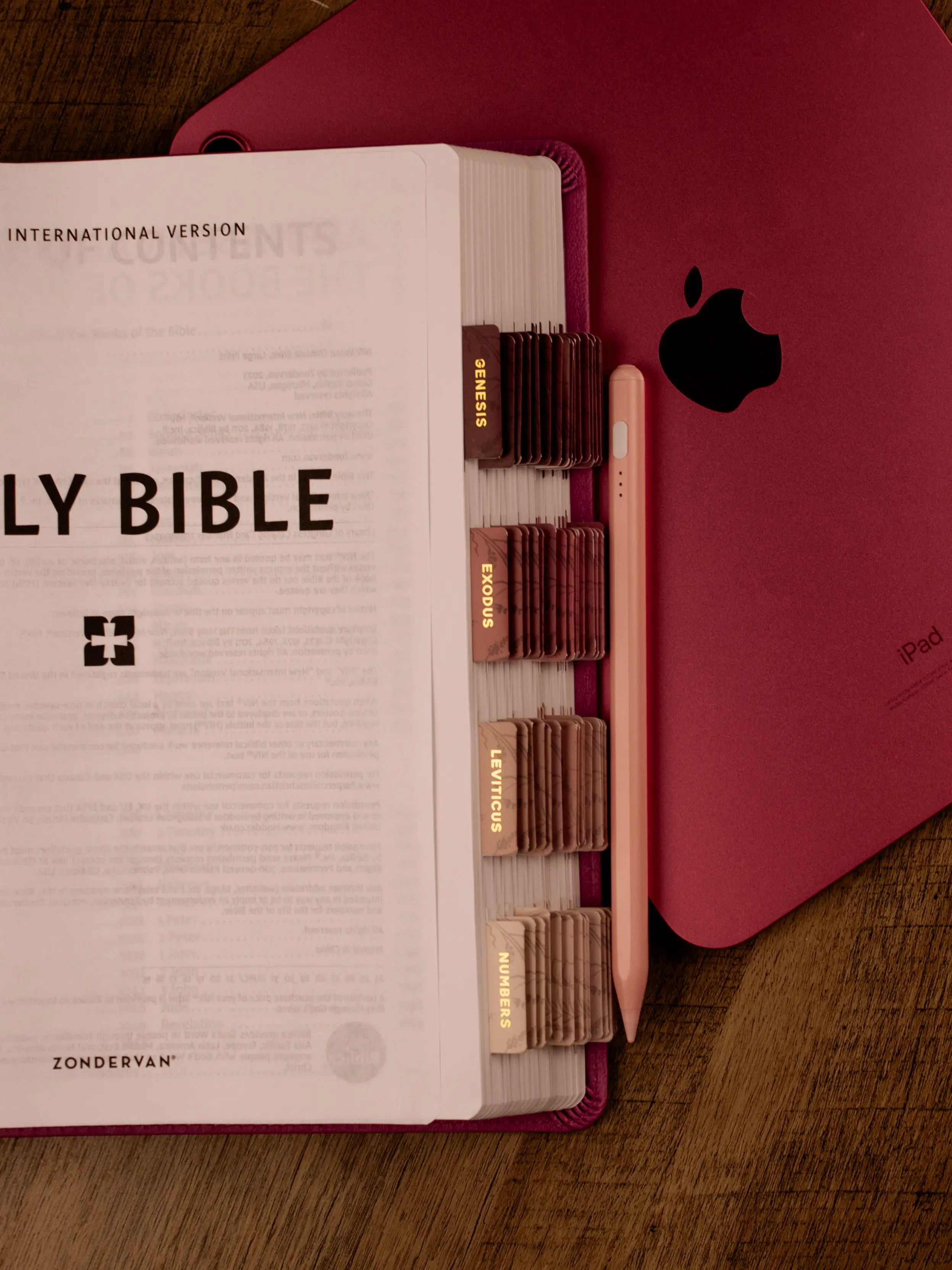 Beloved - Large Print Bible - Custom Pink  NIV  Bible | Large Print | NIV Women’s Bible | Personalized Christian Gift