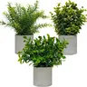 3 Sets Mini Potted Artificial Plants Indoors in Pots Fake Plants Eucalyptus Faux Plants Rosemary Plants for Office Desk Kitchen Bedroom Garden Decor Decorative