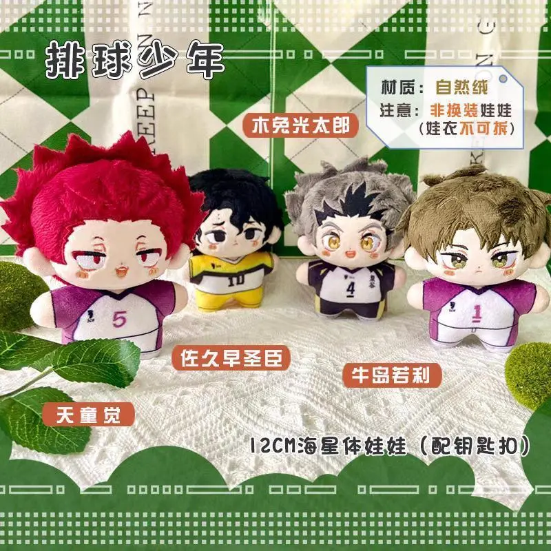 Haikyuu Volleyball Plush Ushijima Wakatoshi Kotaro Bokuto Tendou Tatori Sakusa Kiyoomi Anime Cosplay Pendant Keychain Kids Gift