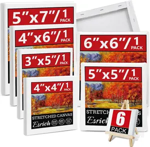 6Packs Mini Stretched Canvases for Painting with 3x5”, 4x4”, 4x6”, 5x5”, 5x7”, 6x6”, Painting Canvas for Oil & Acrylic Paint.