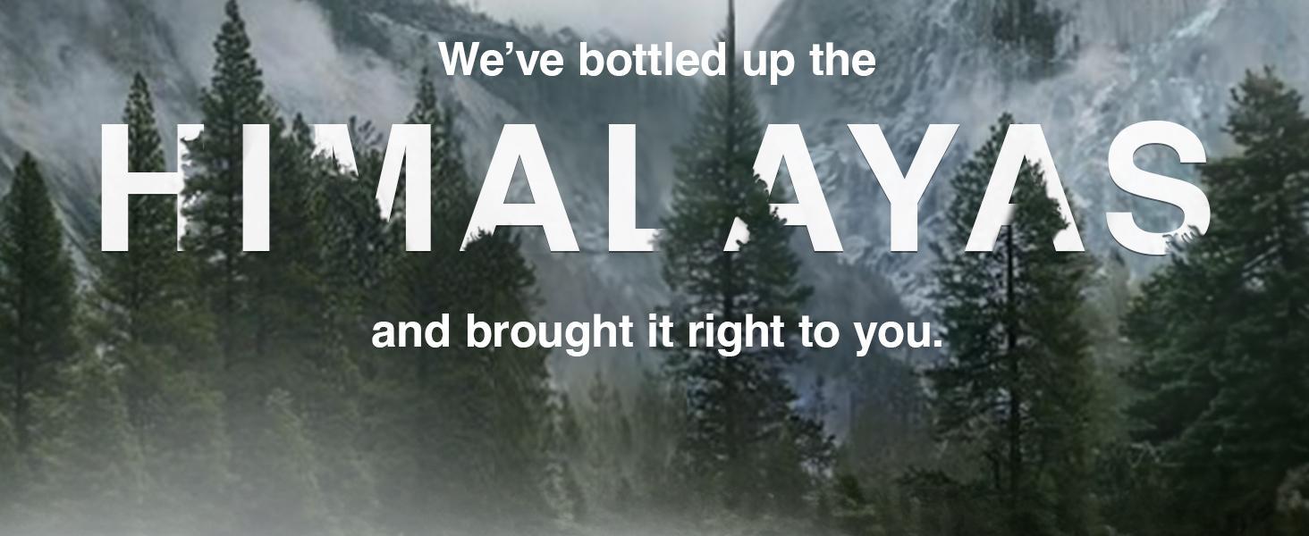 Be Bodywise Pure Himalayan Shilajit Gummies | For Optimal Energy, Immunity, Vitality, Endurance, Packing, Longer time & Stamina Support | 3000mg with KSM-66 Ashwagandha, Gokshura, Saffron, Black Musli, Fulvic Acid & 85+Trace Minerals  Organic  Healthcare