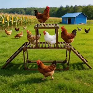 Bingopaw Wooden Chicken Jungle Gym with Ladder and Swing, 2-Tier Roosting Bar Stand for 8-10 Hens, Natural Pine Poultry Playground with Wide Slatted Platform