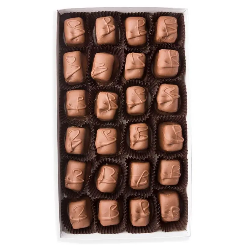 Chocolate Covered Brady (Caramel & Coconut)
