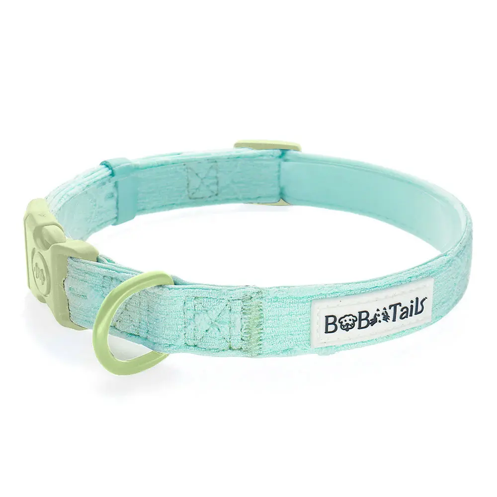 Silk Embroidery Dog Collar - Aqua Green, Fully Adjustable, Breathable Air Mesh, No-Pull Back D-Ring, Comfortable for Daily Walks