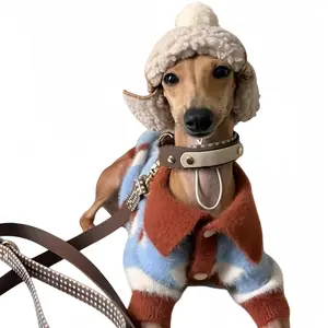 Dachshund Color-Block Striped Sweater - Anti-Shedding Winter Knitwear, Fashion Fall Outfits for Small Dogs