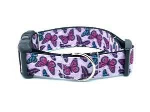 Purple Butterfly Dog Collar