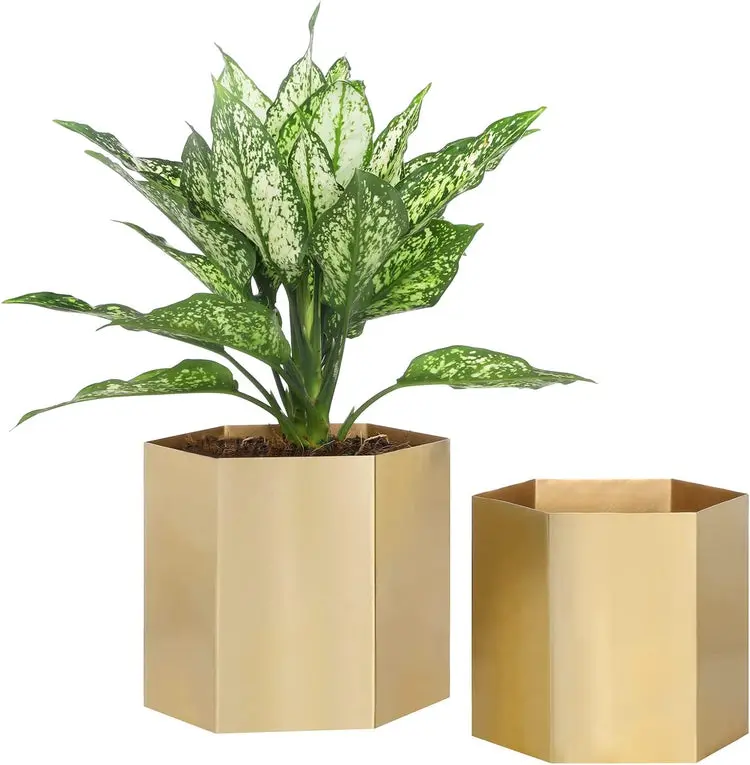 Metallic Shiny Brass Metal Indoor Planter, Decorative Succulent Cactus Pot, Hexagon Shaped Vase Container, Set of 2
