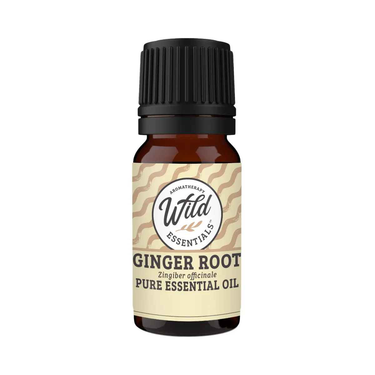 Ginger Pure Essential Oil
