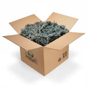 Green Sea Moss 100% Natural Raw Wild-Harvested St. Lucian Sea Moss – Sun-Dried Rare Sea Moss Rich in Chlorophyll, Minerals & Detox Support