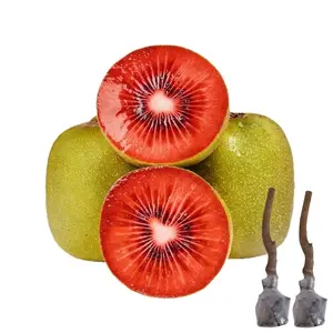 Hardy Red Flesh Kiwi Tree Plants | Ideal for Home Garden Growing Enthusiasts | Lovely Fruit Plants for Your Home Garden