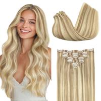 Dirty Blonde Highlights (18A/613A)