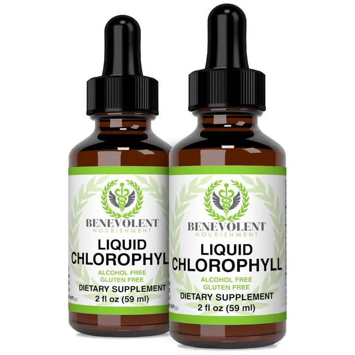 2 Bottles Liquid Chlorophyll Drops (4 Month Supply) Healthcare Supplement - Natural Deodorant and Detox - Gut Support Healthcare Liver