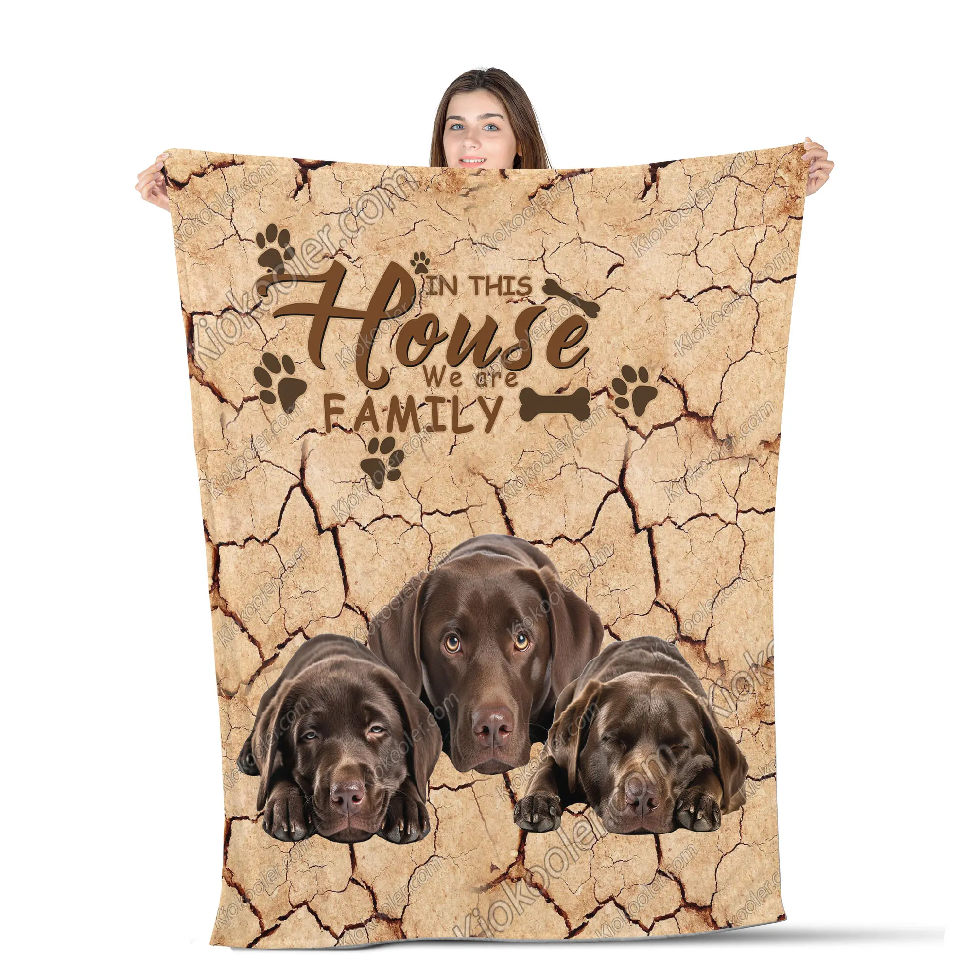 Labrador Retriever Dog We Are Family All Season Blanket, Labrador Retriever Dog Decor, Gifts For Dog Lovers, Sofa Throw Blanket Comfort Warmth Soft Blanket Fleece Blanket, Sherpa Blanket