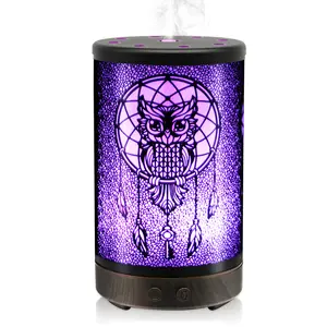 DAROMA Essential Oil Diffuser with Owl/Skull Design, 100ml, Metal Aromatherapy Ultrasonic Cool Mist Humidifier, LED Mood Light, Waterless Auto-Off