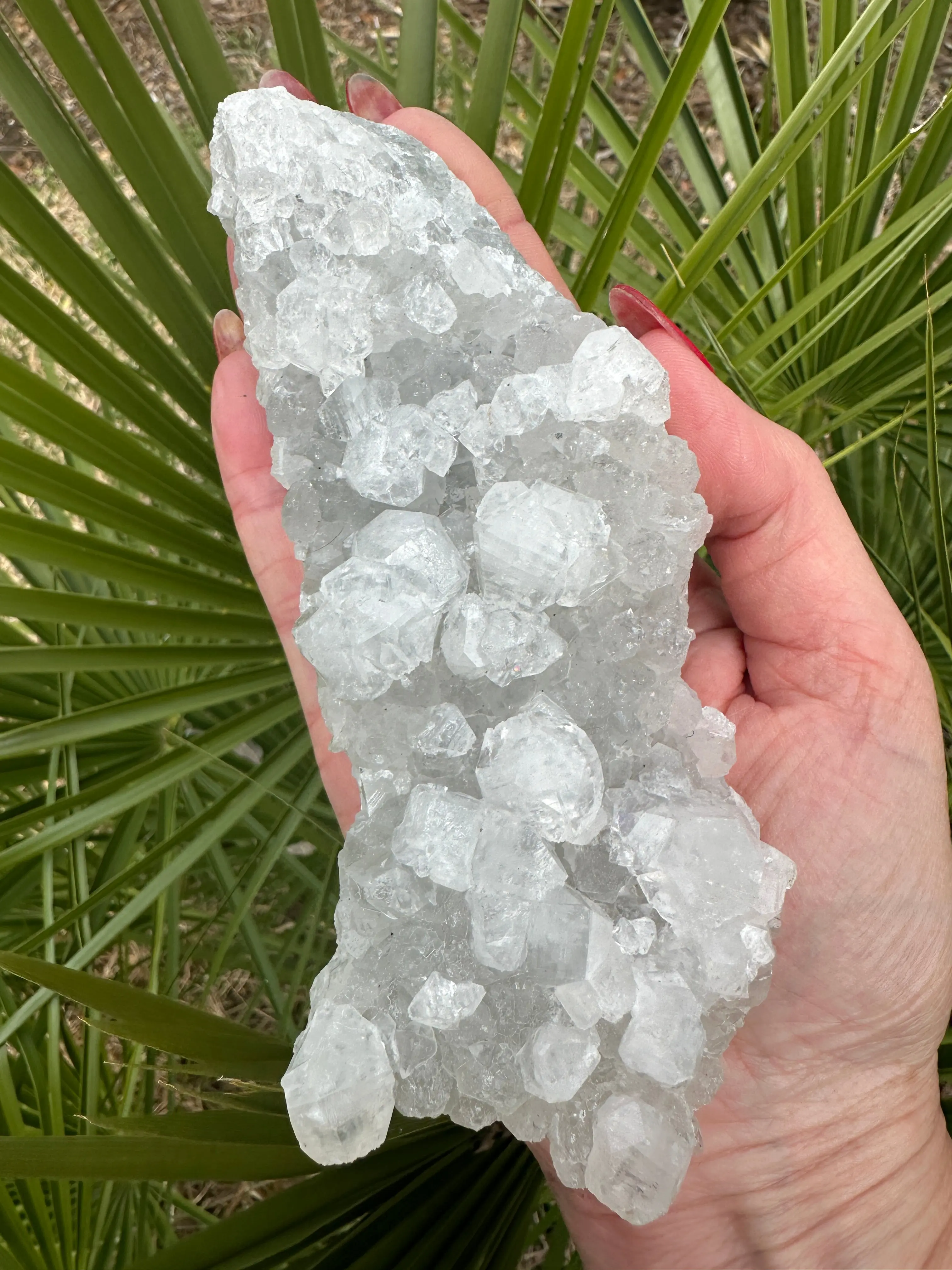 Clear Apophyllite Specimen - 432 grams