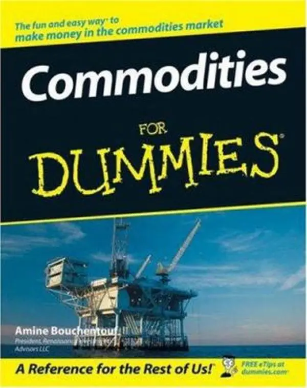 USED Book - Commodities For Dummies by Amine Bouchentouf (Paperback) - english