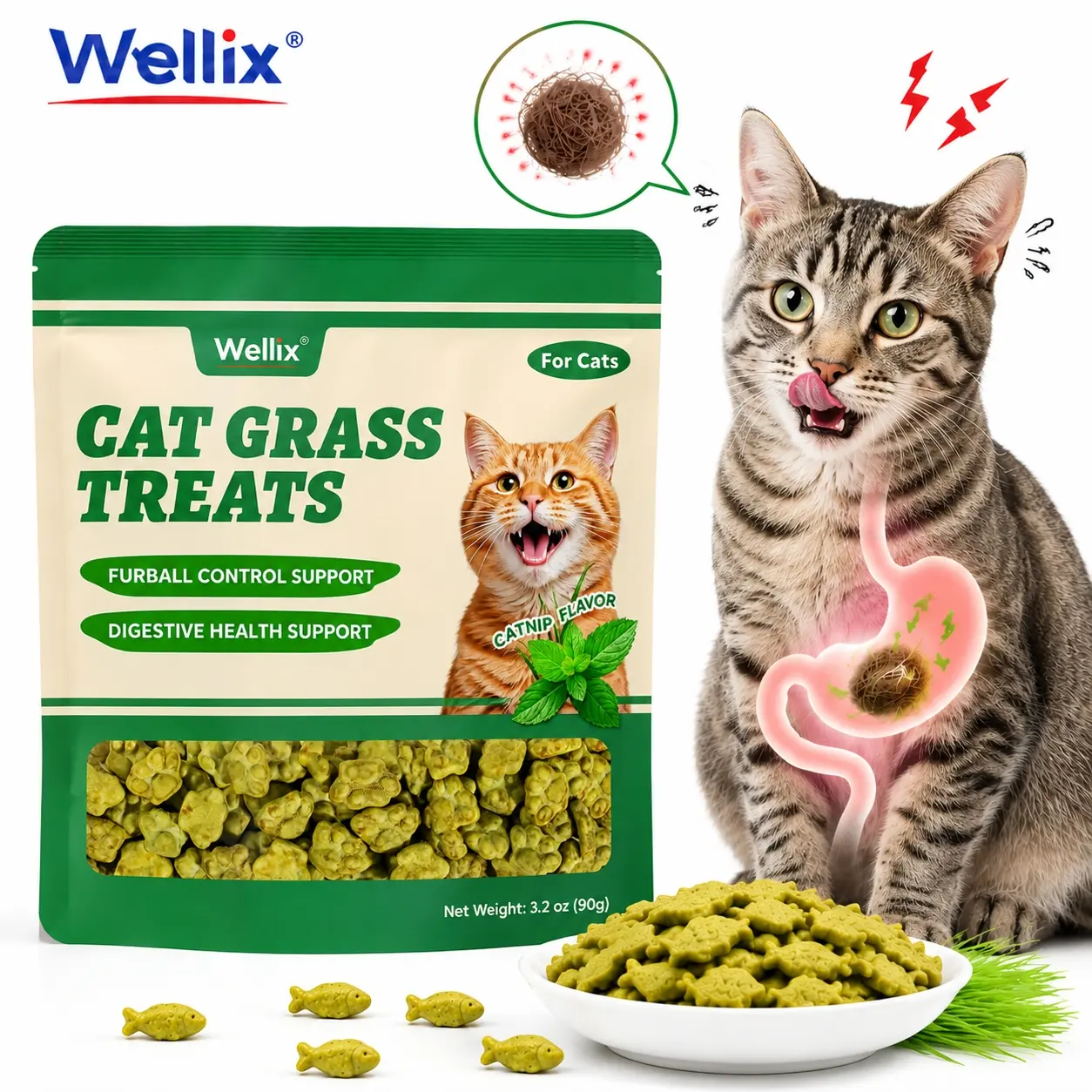 Wellix Cat Treats for Indoor Cats Hairball Control Natural Salmon Healthy Cat Grass Treats Kitten Snacks Training Biscuits Catnip for Cats Dental Care 3.17oz