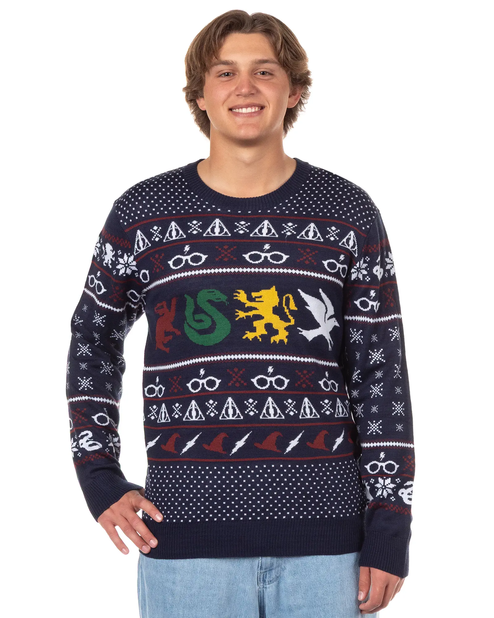 Harry Potter Adult Hogwarts Houses Gryffindor Slytherin Ravenclaw Hufflepuff Knit Ugly Sweater for Christmas, Acrylic, Knitwear
