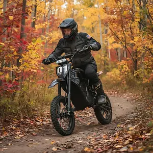 PHAEWO Electric Bike forAdults 48V Full SuspensionRange 40-60 MilesLED Lights 14'12' All-Terrain Fat TireLightweight 330LBS Load Capacity cyling bicycles Foldingfixed gear korea free wheel deal coupon road super  fenty  brand  day fat tire ebike