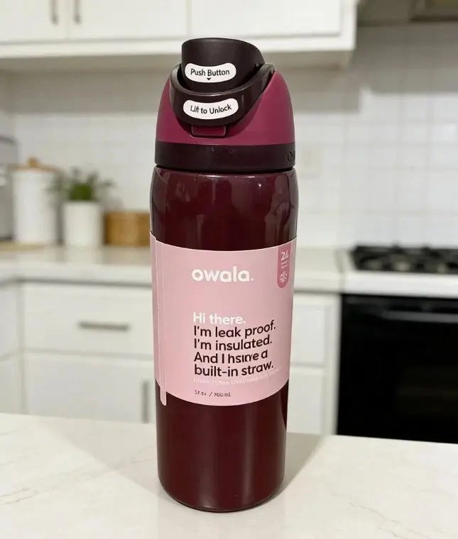Owala Stainless Steel FreeSip 32 oz Water Bottle - Black Cherry | US SHIPPI,GIFT
