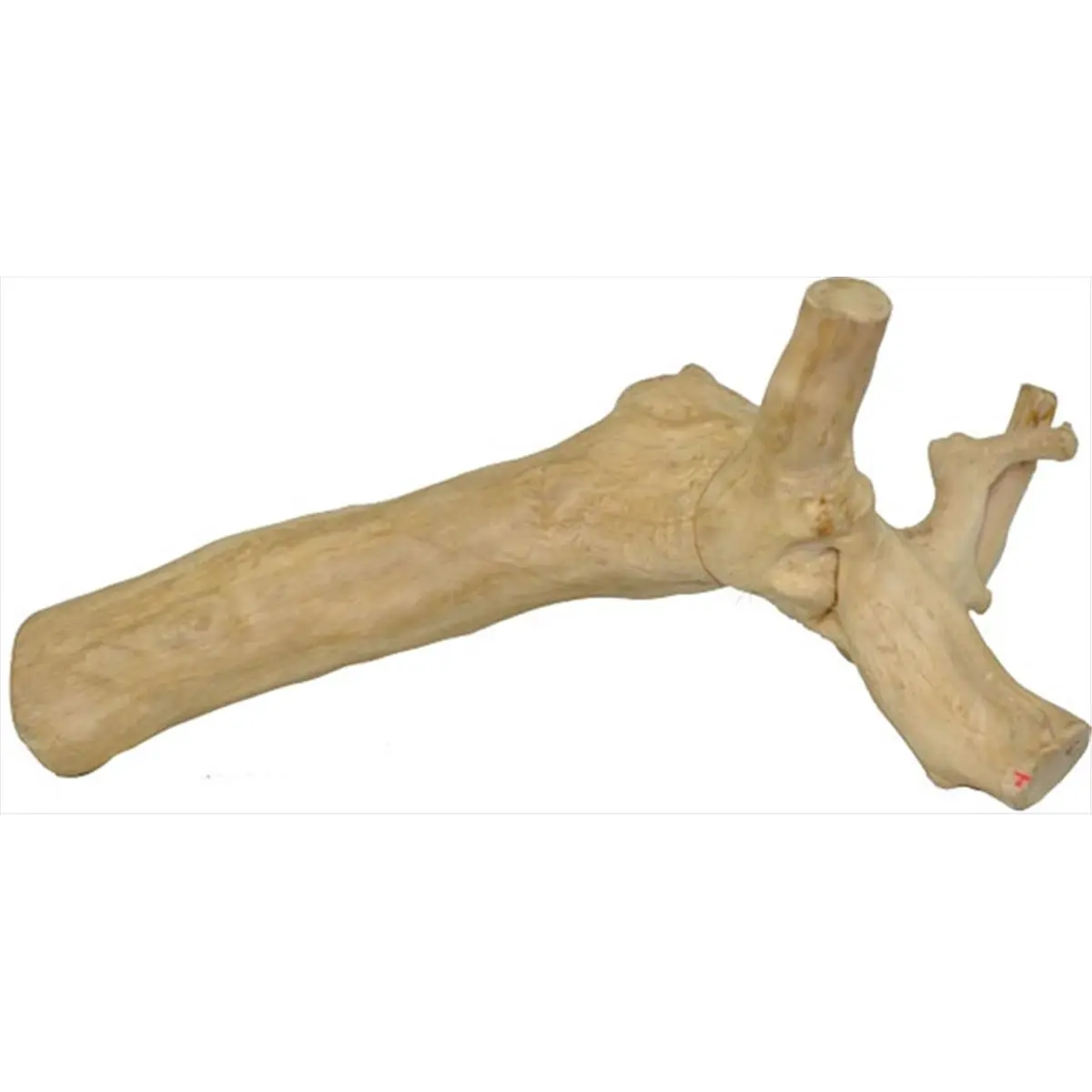 A&E Cage AE2103 Large Natural Reptile Branch, 9.8-13.8 x 9.8-15.7 in, Skilled Craftsmanship for Reptiles (Pet Supplies, Small Animal Habitat Accessory)