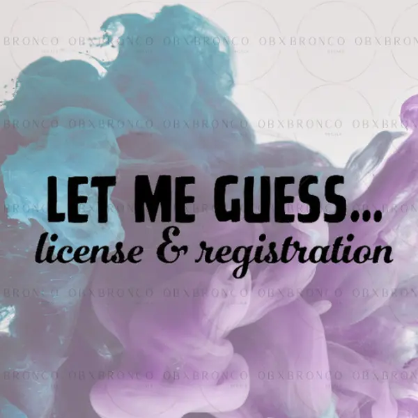 "Let Me Guess... License and Registration" Car Sticker