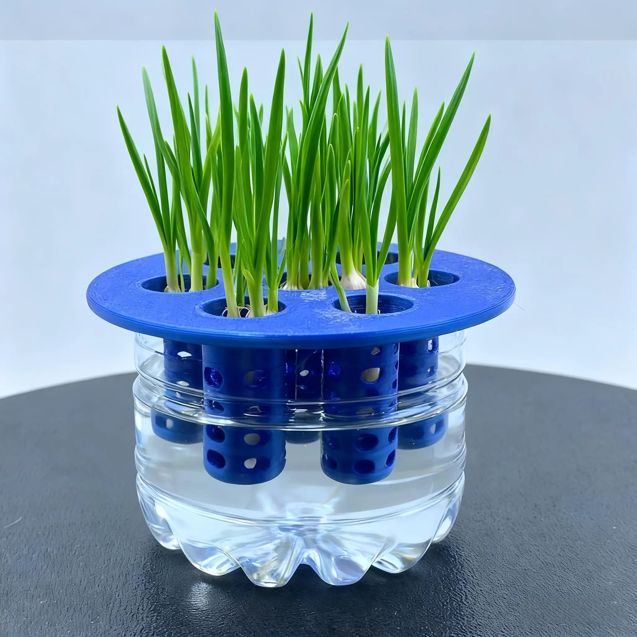 Garlic & Onion Planting Kit Set, Essential Home Gardening, Hydroponic Plants, Suitable for 3D Printing Molds, Perfect Gift Choice, Plant Growing Set