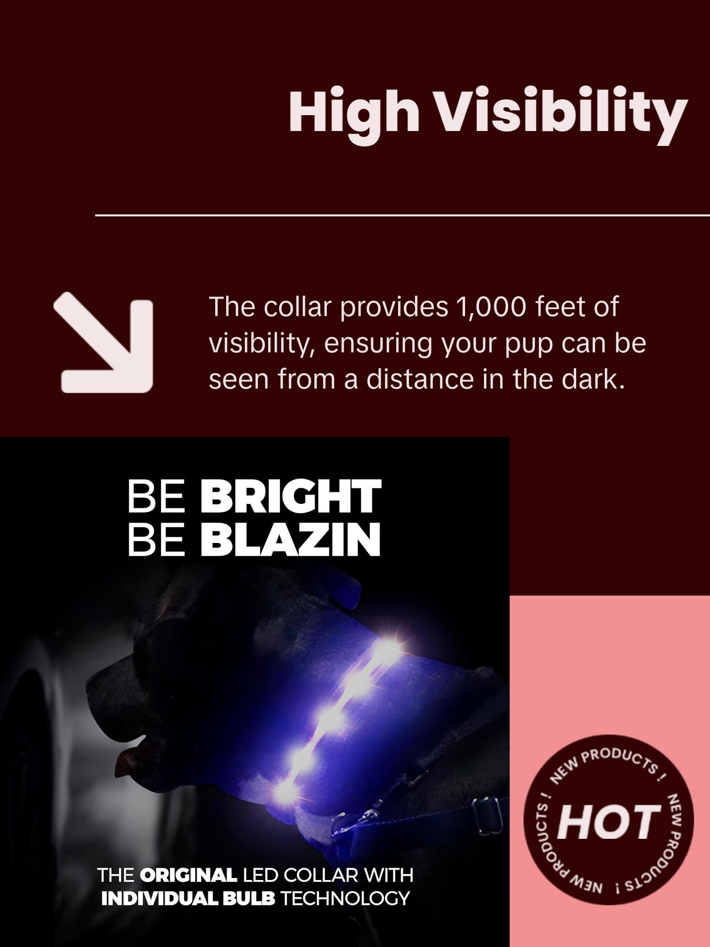 BLAZIN Brightest Light up Dog Collars - the Original LED Dog Collar with 1,000 Feet of Visibility - USB Rechargeable Waterproof Dog Collar Light - Dog Lights for Night Walking - USA Brand Blazin