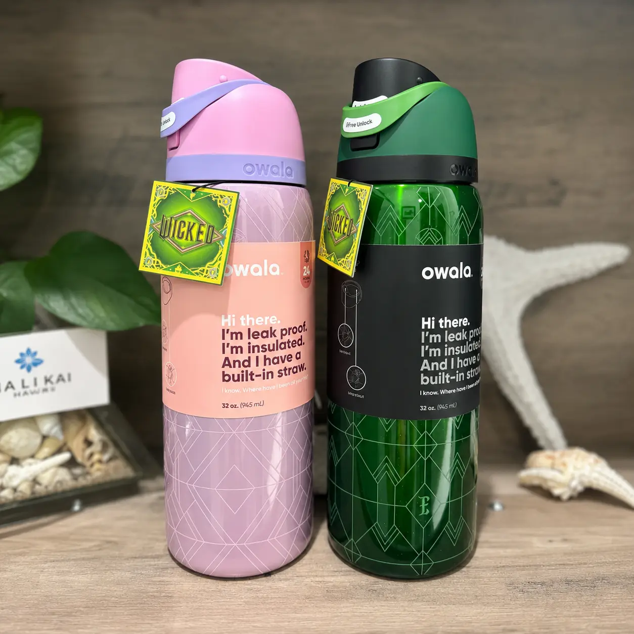 (WICKED) Owala FreeSip Insulated Stainless Steel Water Bottle with Straw, BPA-Free Sports Water Bottle, Great for Travel, 32Oz, Glinda and Elphaba