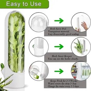 Herb Storage Box Vegetable Preserver, Refrigerator Herb Container, Fresh Herb Keeper for Cilantro, Parsley, Asparagus, Mint, Home Use