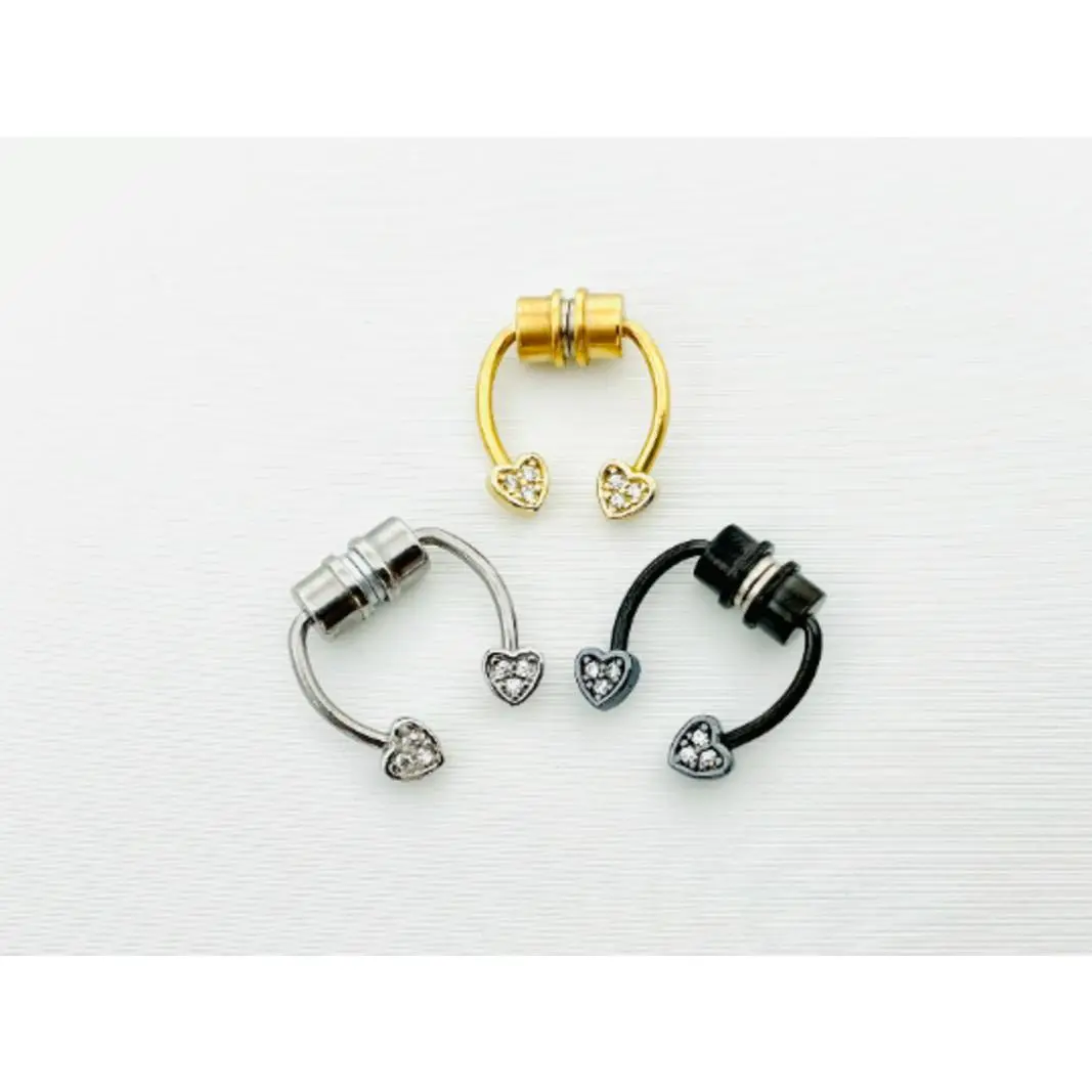 Magnetic Fake Septum Ring